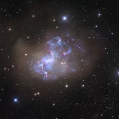 Unusual Starburst Galaxy NGC 1313