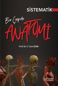 BİR ÇIRPIDA SİSTEMATİK ANATOMİ