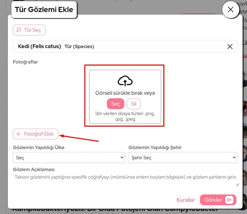 Fotoğraf ekleme paneli, "Fotoğraf Ekle" tuşuna bastıktan sonra açılacaktır.
