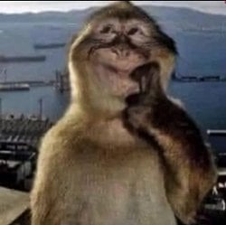 Biz NEDEN VARIZ  yani gerçekten varsak ve varlığımız evrende bi hacim kaplıyorsa bunun sebebi ne, neden sadece bizim diğer hayvanlardan bilişsel üstünlüğümüz var?