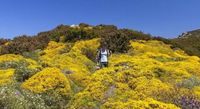 Scoprire l'Isola d'Elba a Pasqua a passo di trekking: ecco i 3 itinerari più belli