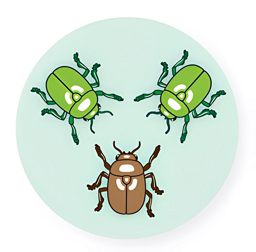 Şekil 1. Yeşil ve Kahverengi bireylerden oluşan bir böcek popülasyonu.