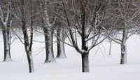 Shifting snowstorm means little accumulation in the Twin Cities