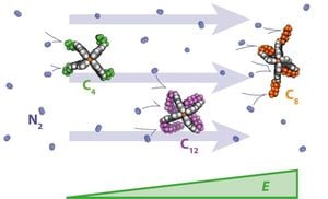 Solvent Effects Unravel Interconversion Of Coordination Cages