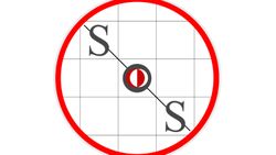 SOKAK KÖPEKLERİ İLE ETKİLEŞİM