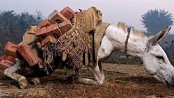 ŞÜKÜRLE OLUMLAMA VE STRES İLE BAŞETME