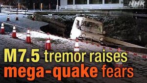 Megaquake Alert Issued After Powerful Japan Earthquake