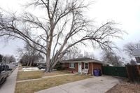 Littleton funeral director gets maximum sentence of 18 months for abuse of a corpse and theft