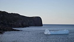 Gulf Stream Akıntısı 2025'te Çökebilir ve Dünya'yı İklim Kaosuna Sürükleyebilir