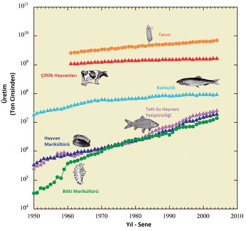 Son 50 yılda küresel tarım (gıda dışı ürünler hariç), hayvancılık (et), tatlı su ve deniz su ürünleri yetiştiriciliği ve balıkçılık üretimindeki eğilimler.