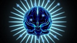 Beyindeki Gri Madde Miktarı, Etik Muhakeme Seviyesi ile İlişkili Olabilir!