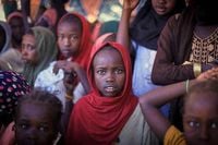 Famine is gripping two regions of war-torn Sudan | Jefferson City News-Tribune