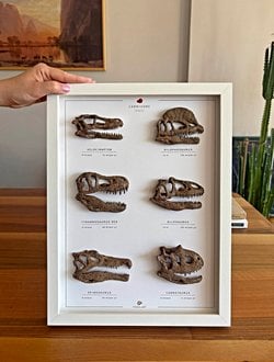 Etobur Dinozorlar 3 Boyutlu Çerçeve Tasarım