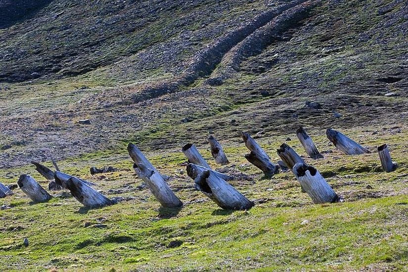 Tramvayın temeli olarak kullanılan direklerin, toprağın üst kısmında oluşan hareket sonucu (soliflüksiyon) direklerde eğilme meydana gelmiştir. Fotoğraf, Norveç'e bağlı bir ada olan Longyearbyen’de çekilmiştir.