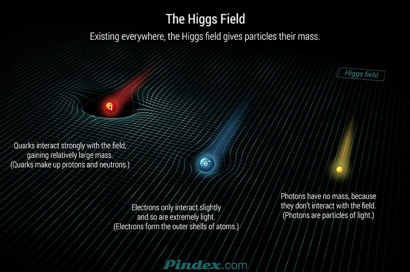 Protonları ve nötronları oluşturan kuarklar Higgs alanıyla daha güçlü bir şekilde etkileşime girerek nispeten daha büyük kütle elde ederler. Elektronlar, alanla çok az etkileşime girdiklerinden aşırı derecede hafiftirler. Işık parçacığı olan foton ise hiçbir etkileşime girmediği için kütlesizdir.