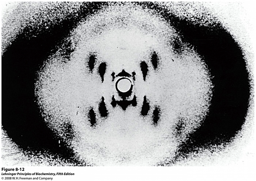 DNA'nın ikili sarmal yapısını ortaya çıkaracak olan X-Işını kristalografisi sonuçlarından birisi...